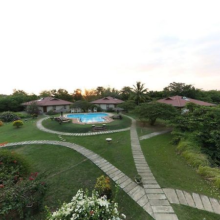 Hibiscus Garden Hotel تيساماهاراما المظهر الخارجي الصورة