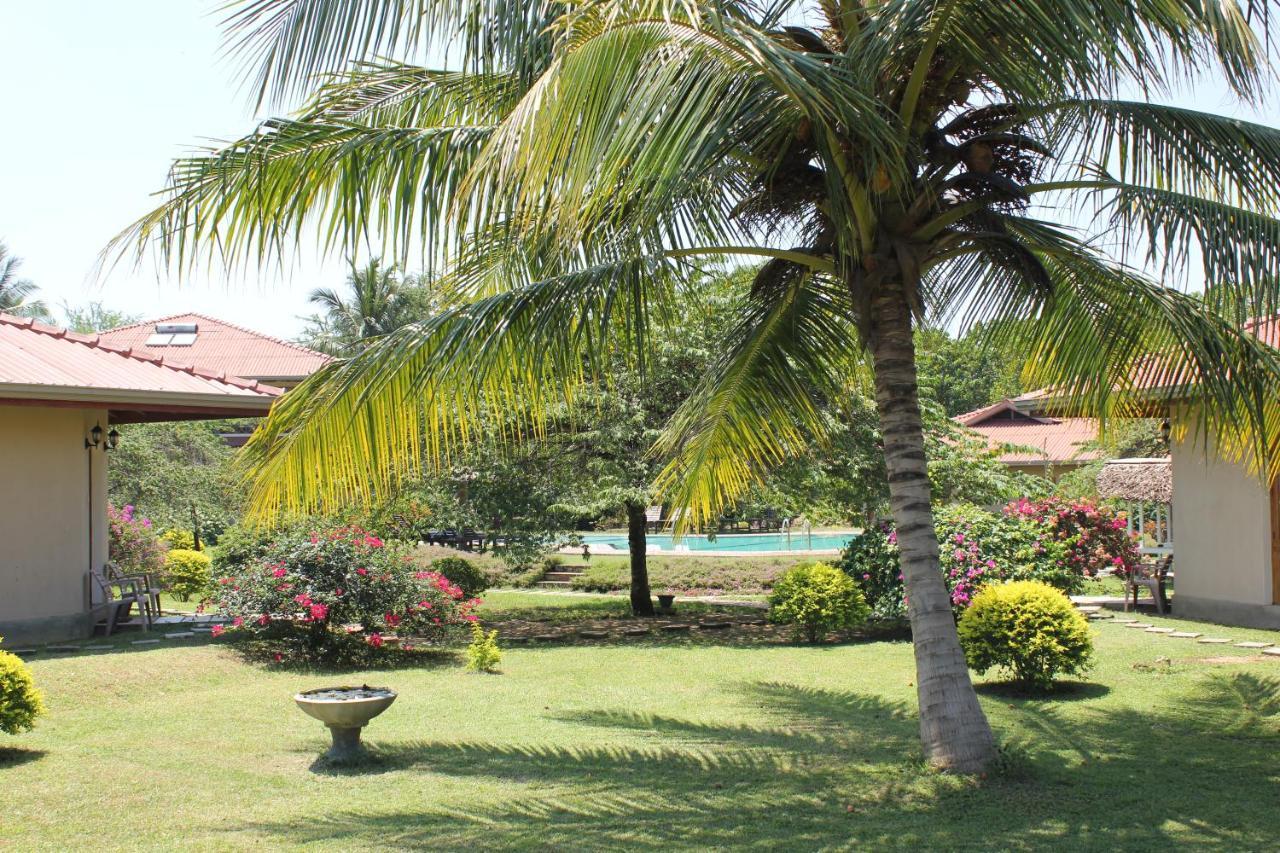 Hibiscus Garden Hotel تيساماهاراما المظهر الخارجي الصورة