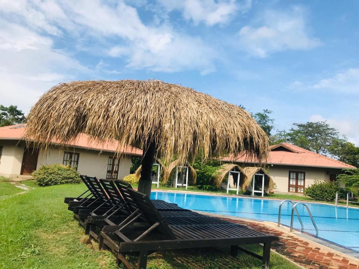 Hibiscus Garden Hotel تيساماهاراما المظهر الخارجي الصورة
